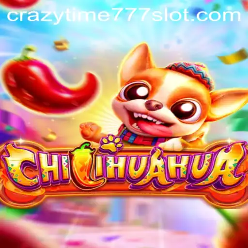 Discovering CHILIHUAHUA: Unleash the Fun with Crazy Time 777